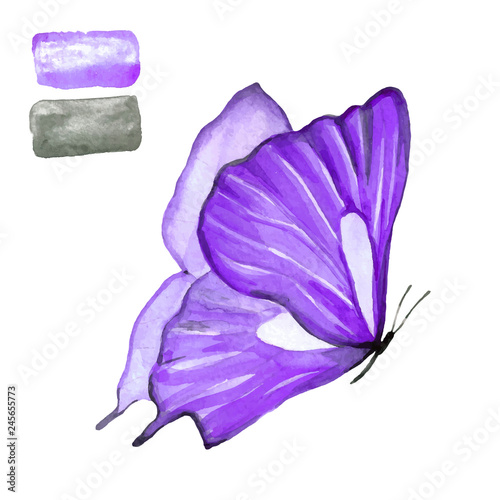 Fototapeta Naklejka Na Ścianę i Meble -  Butterfly purple
