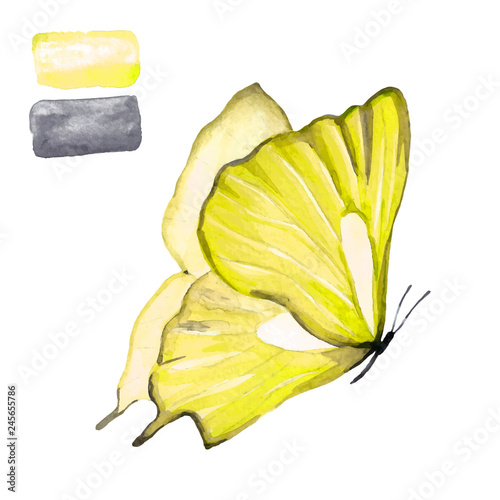 Yellow butterfly