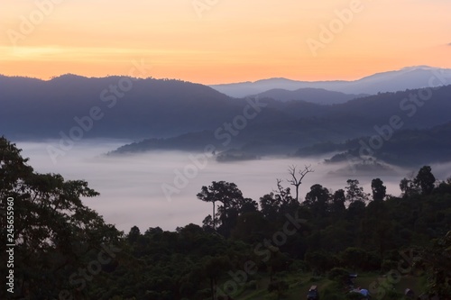 Clouds and mist covered at the top of the mountain.