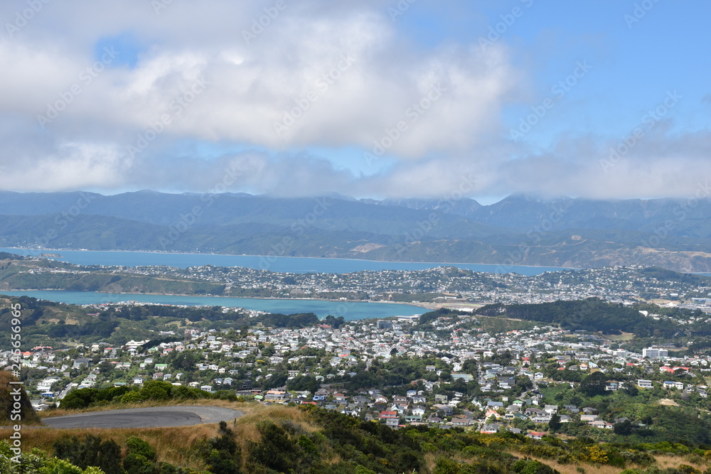 City view of the city in Wellington New Zealand