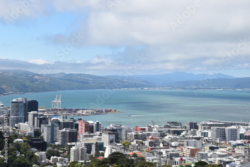 Wellington city vew
