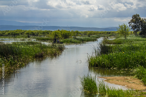 landscape with river and blue sky