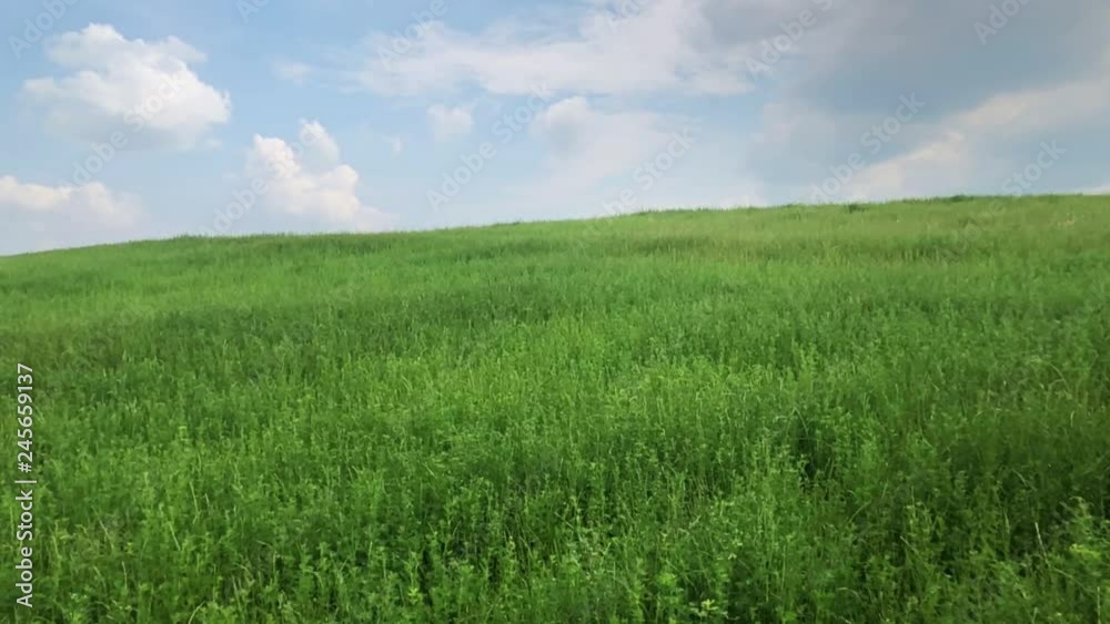 Girl jumping on a green grass field. Slow motion. Girl jumping on a green grass field. Slow motion.