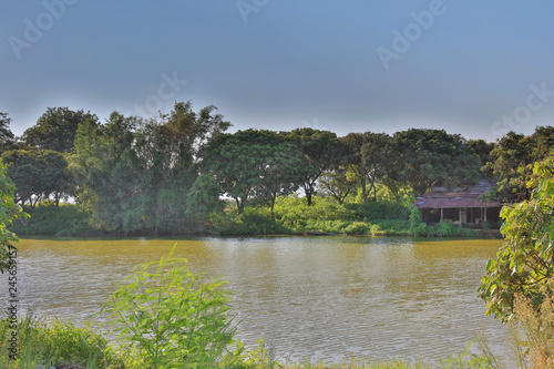 Tableau sur toile fish pond at HA PAK LAI