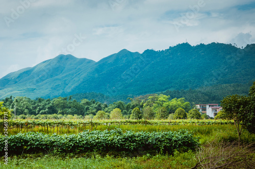 Mountain scenery in spring