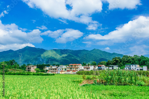The countryside scenery in spring
