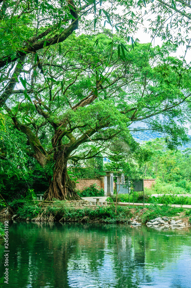 The river and countryside scenery in spring The river and countryside scenery in spring