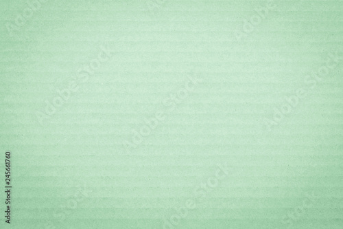 Recycled cardboard textured pattern grunge detailed backdrop in pastel green color
