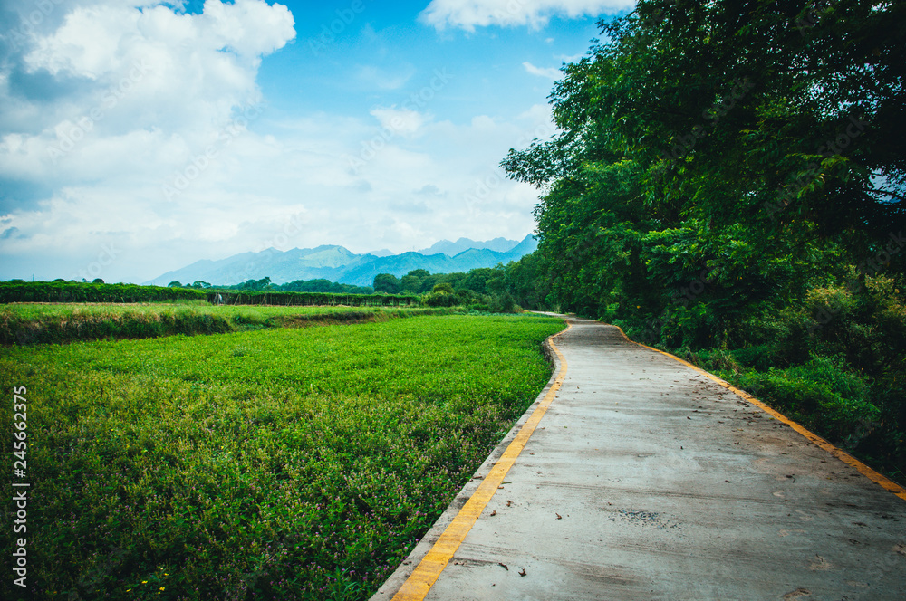 Countryside road scenery 