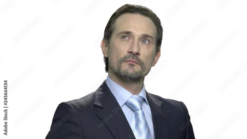 Handsome mature executive with thoughtful expression. Pensive businessman with beard isolated on white background. Thinking about future opportunity. Handsome mature executive with thoughtful expression. Pensive businessman with beard isolated on white background. Thinking about future opportunity.