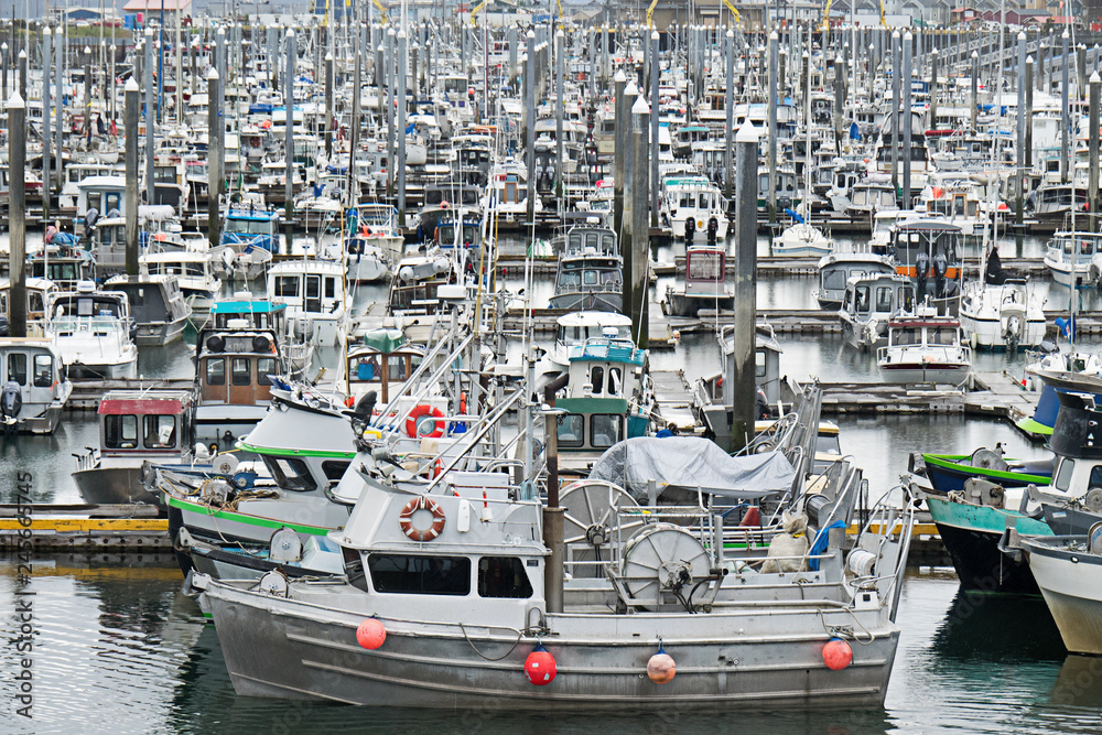 Fishing Fleet - Homer, Alaska