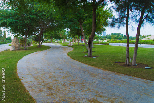 path in the park