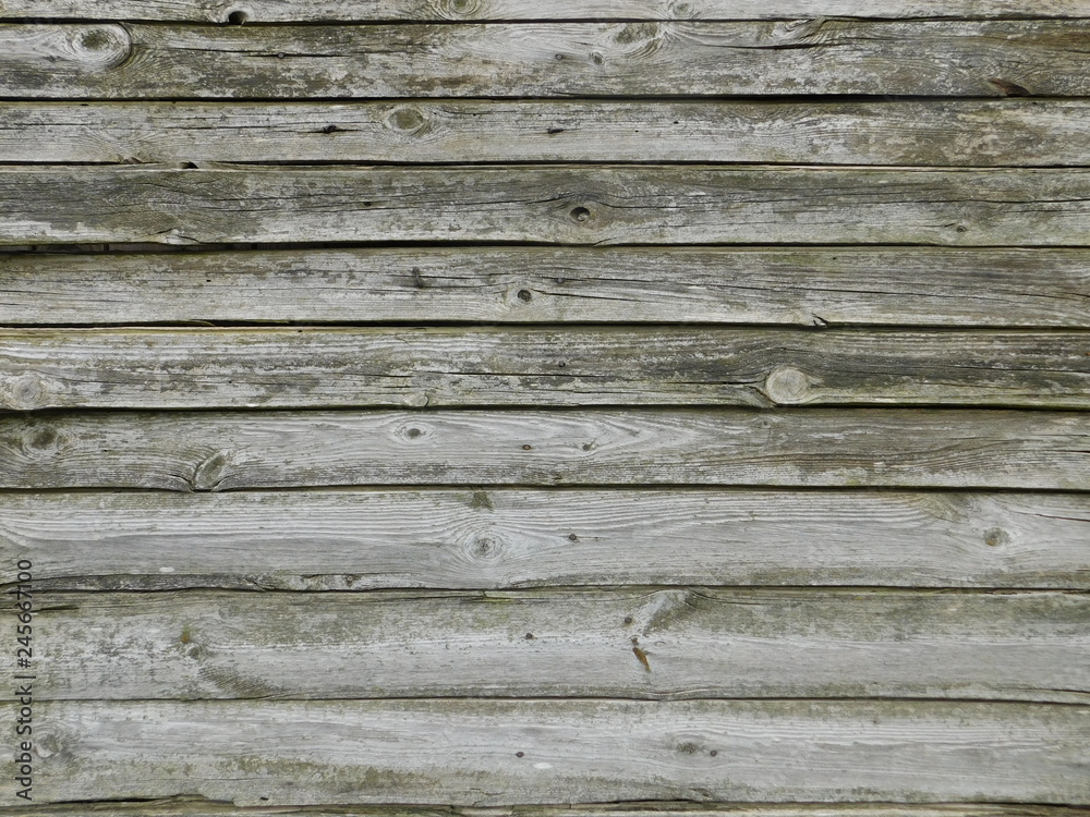  texture of old pine planks