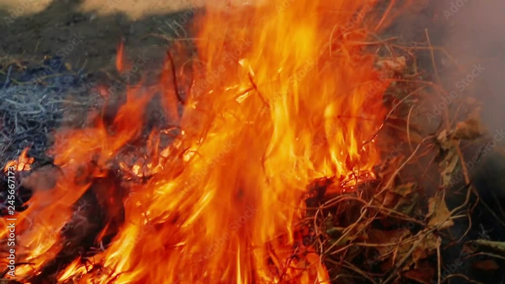 Flames from burning waste, dry leaves cause smoke, dust, air pollution causes. Concepts of airborne toxicity, burning, global warming, worsening health from smog Flames from burning waste, dry leaves cause smoke, dust, air pollution causes. Concepts of airborne toxicity, burning, global warming, worsening health from smog