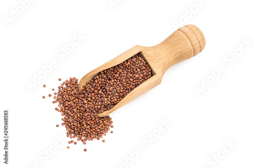 Small wooden spoon or scoop with red quinoa seeds seen from above and isolated on white background