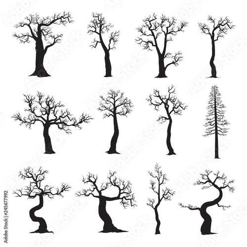 Dead tree without leaves, collection of trees silhouettes, vector illustration on white background