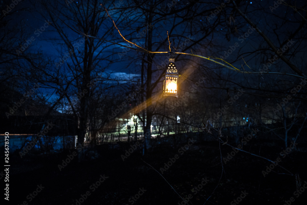 Beautiful colorful illuminated lamp in the garden in misty night. Retro style lantern at night outdoor. Beautiful colorful illuminated lamp in the garden in misty night. Retro style lantern at night outdoor.
