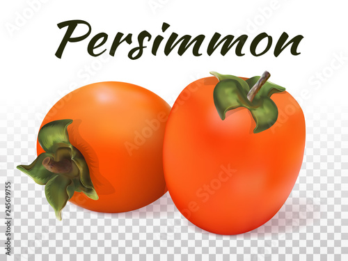 Two persimmons on a transparent background with the inscription. Realistic object. Juicy, orange fruit. On a transparent background, isolated. Vector illustration.
