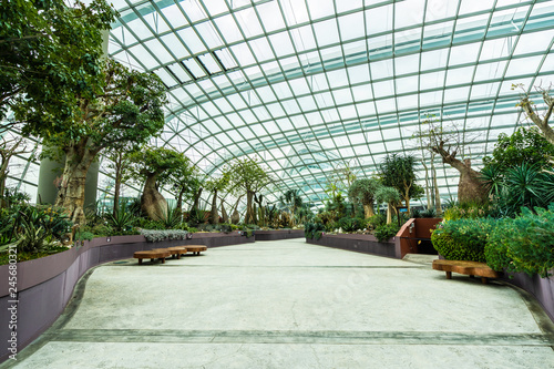 Photography Beautiful architecture building flower dome garden and greenhouse forest for tra