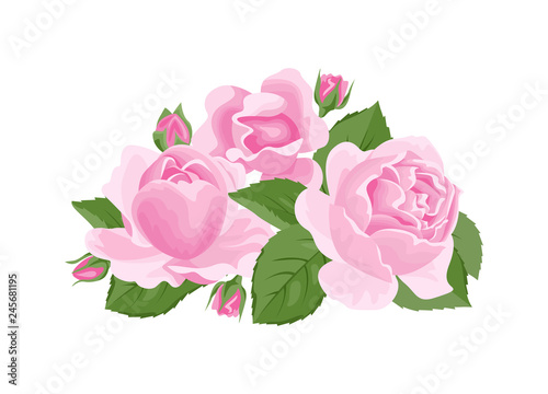 Pink roses banner. Greeting card with bouquet of roses, buds and green leaves, isolated on white background. Vector illustration of spring flowers in cartoon flat style.