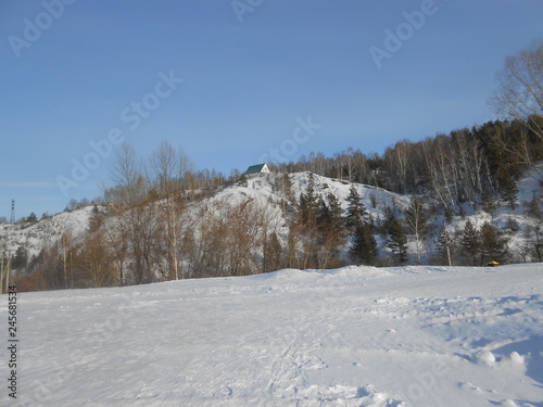winter mountain landscape with snowy trees and snow © Ольга Мордасова