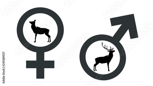 Symbol of male and female gender of animal. Black icon of hind and deer. Vector illustration on white background.