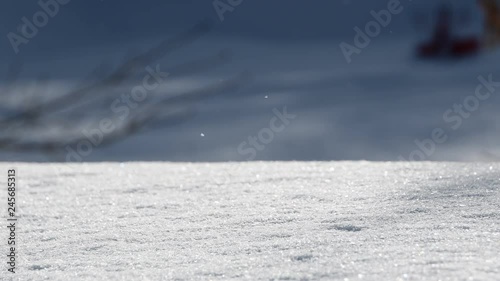 冬の森に降る雪 / 冬の北海道 リゾートのイメージ