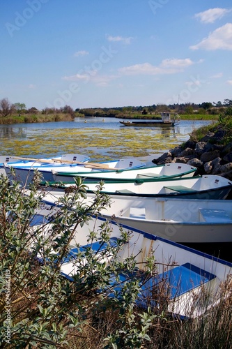 les barques sur la Seudre 