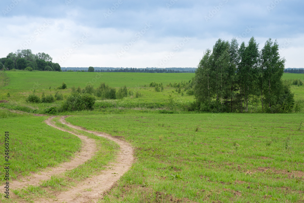 Rural summertime landscape, green foliage and country road