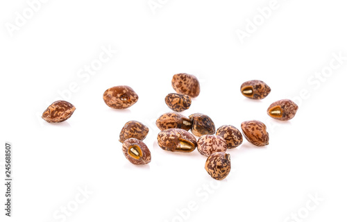 Nuts isolated on white background
