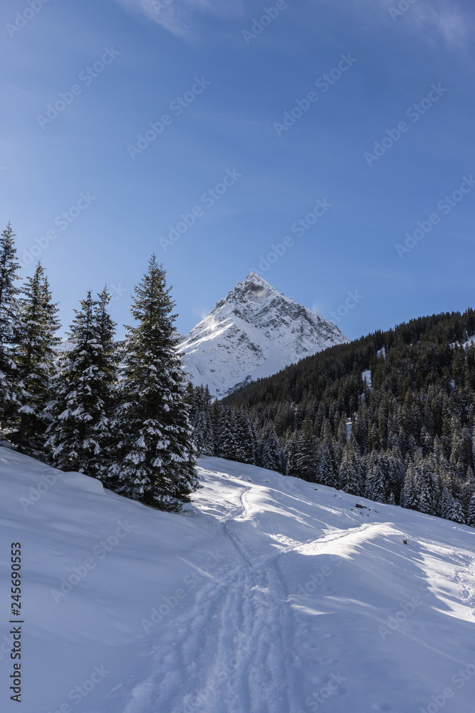 Austria Sunny Winter Mountains Holiday