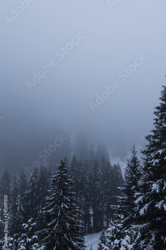 Austria Mountains Snow