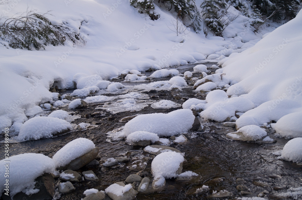Winter adventures. Creek in the snow. Carpathians. Ukraine. Winter adventures. Creek in the snow. Carpathians. Ukraine.