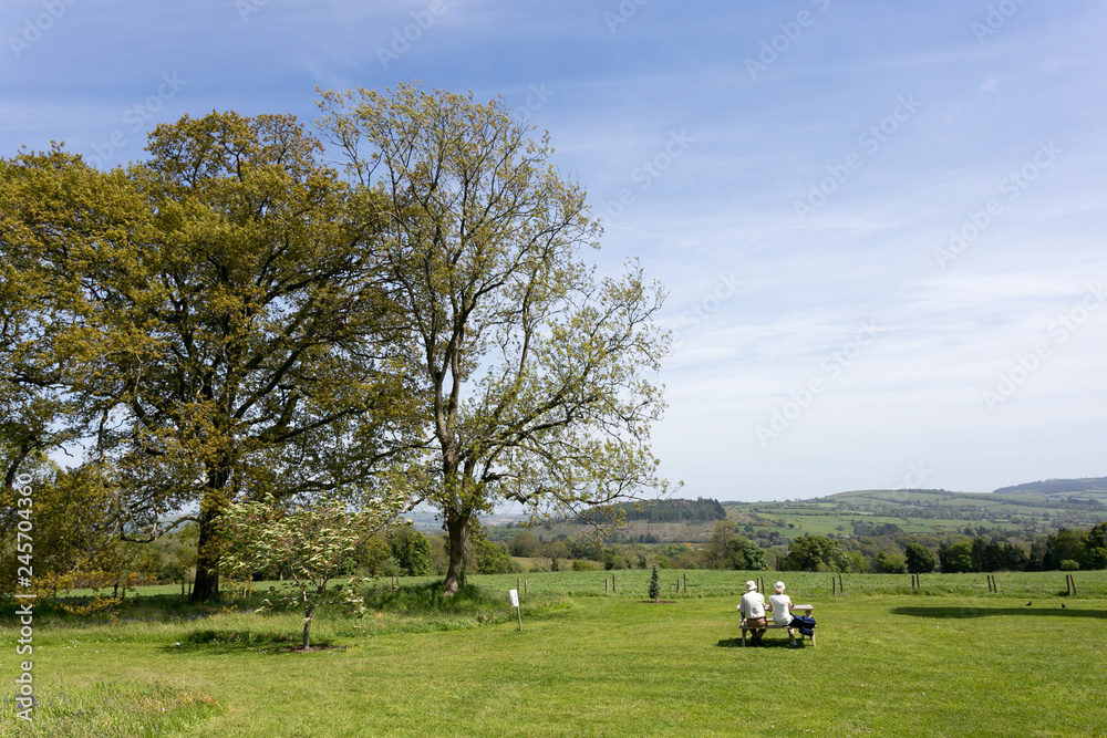 Fototapeta premium People enjoying beautiful views from Kilmacurragh gardens in county Wicklow, Ireland