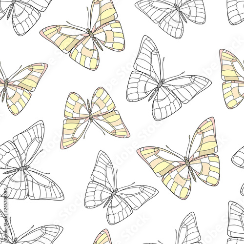 Butterfly on a white background. Vector set illustration. Insects art drawing. Seamless strawberry pattern for fabric design