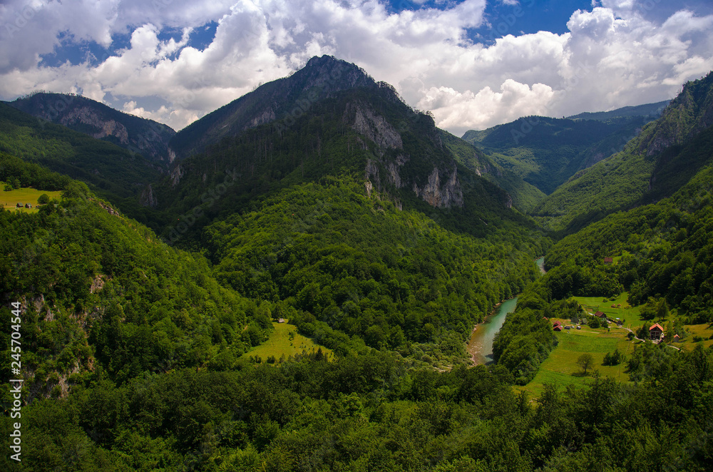 Mountain range and forests of Tara river gorge canyon, Montenegro Mountain range and forests of Tara river gorge canyon, Montenegro