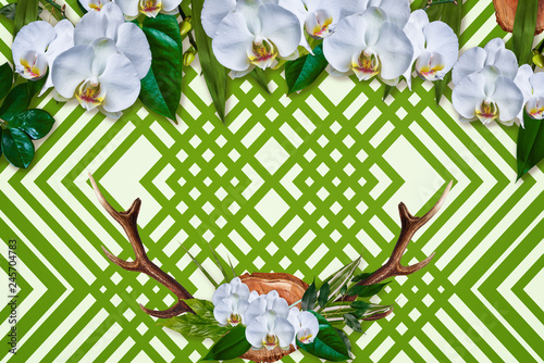 Composition of orchid buds/ Composition of orchid buds and horns deer on green pattern background