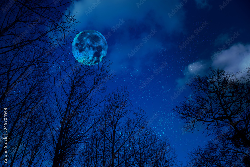 Naklejka premium The mystical landscape of the night sky with a moon and silhouettes of trees.