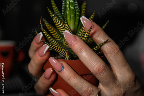 Woman s hands touching leaves of small cactus. Nail art on hers nails.
