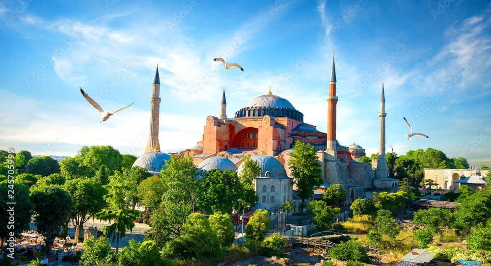 Fototapeta premium Hagia Sophia Stambuł