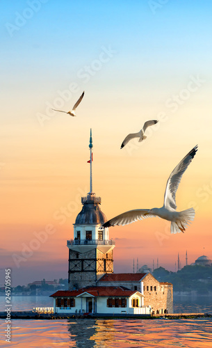 Photography Maiden Tower and seagulls