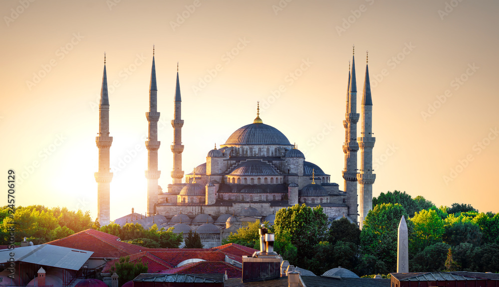 Obraz premium Błękitny Meczet i Bosfor