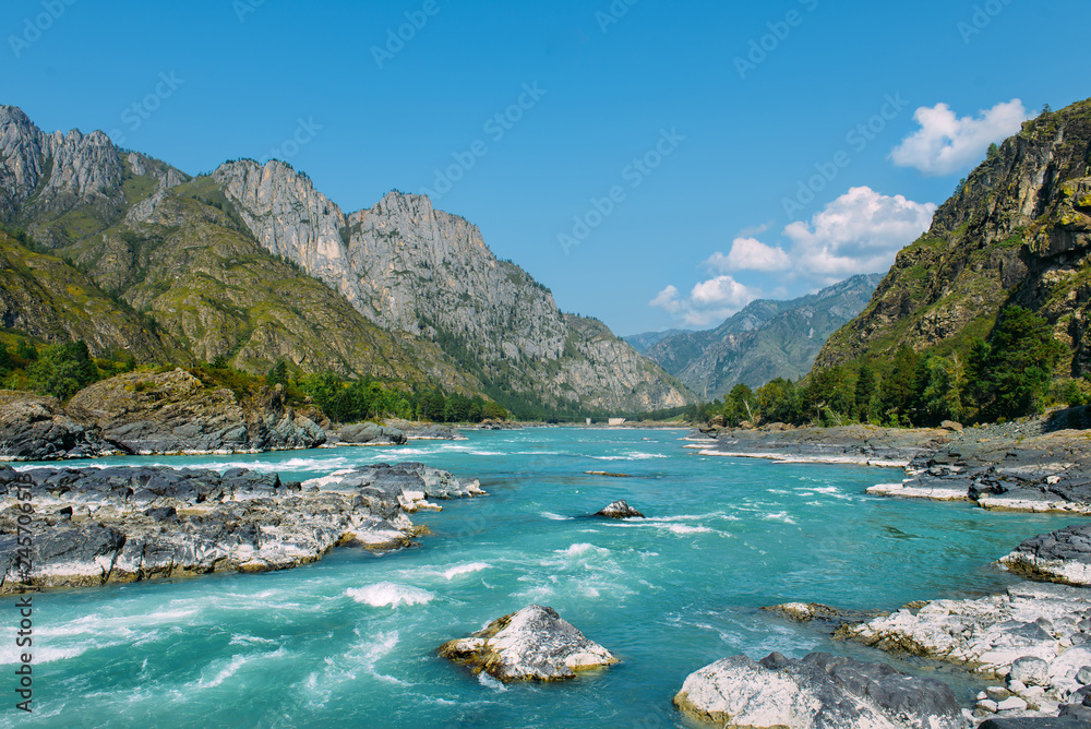 Fototapeta premium Krajobraz Altay z jasną turkusową górską rzeką Katun i zielonymi skałami, Syberia, Republika Ałtaju