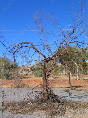 Australia. Broken Hill  in outback New South Wales photo