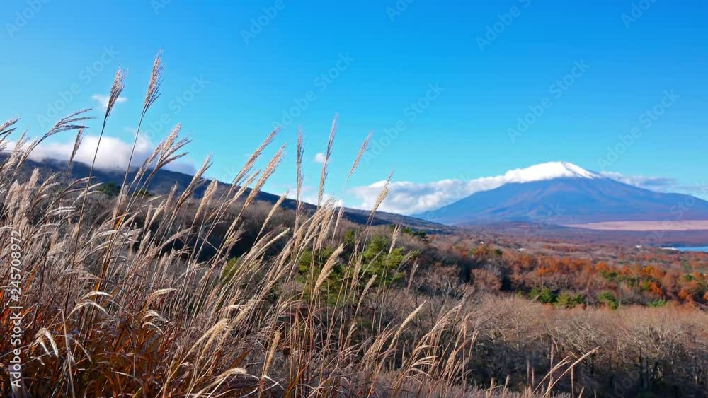 Colorful Autumn with Mountain Fuji in Japan Lake Yamanakako Colorful Autumn with Mountain Fuji in Japan Lake Yamanakako