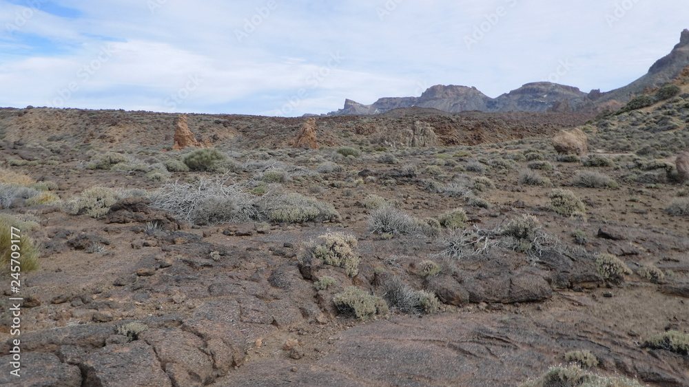 Teide National Reserve Teide National Reserve