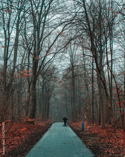 Man strolling with his baby in the forest during fall