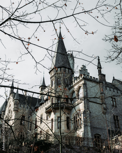 view of marienburg castle in germany from downside