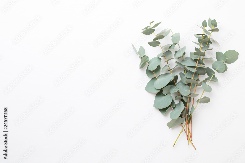 Fototapeta premium Kwiaty i kompozycja eucaaliptus. Wzór wykonany z różnych kolorowych kwiatów na białym tle. Mieszkanie leżało do końca życia.
