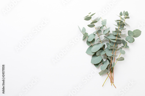 Flowers and eucalyptus composition. Pattern made of various colorful flowers on white background. Flat lay stiil life.